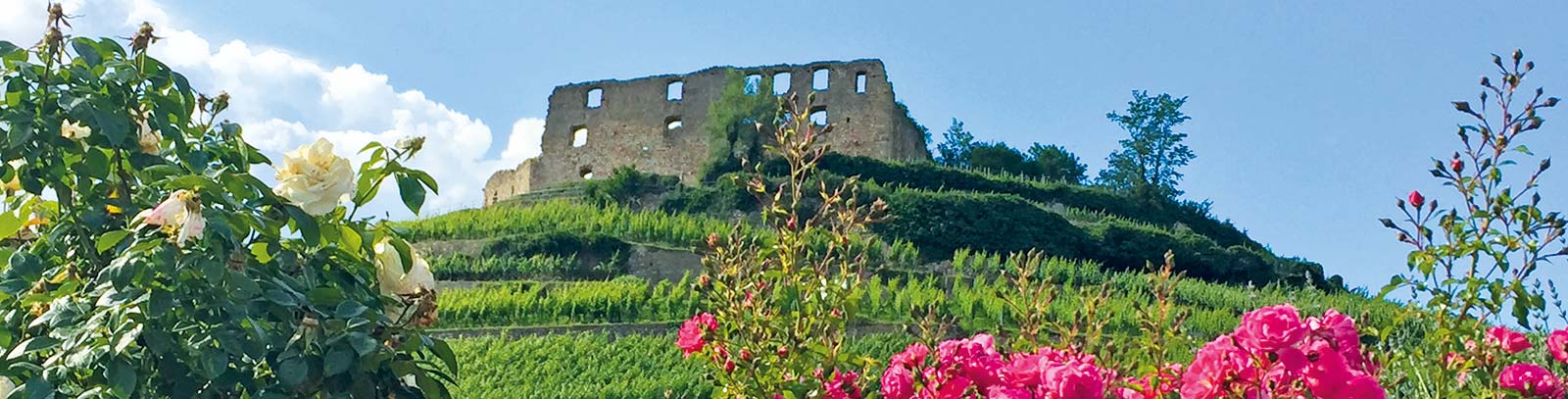 Ferienwohnung Staufen Breisgau Schwarzwald Appartement mit Pfiff